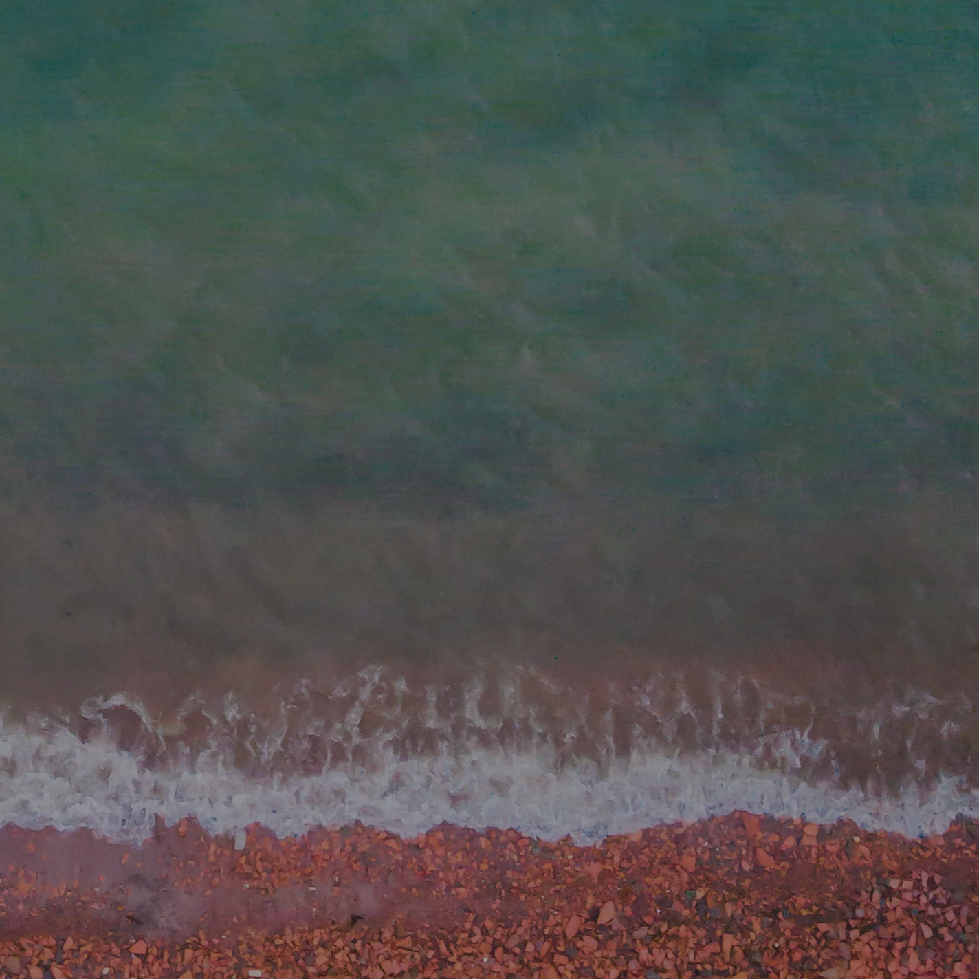 The Embodiment Experience (VIP)